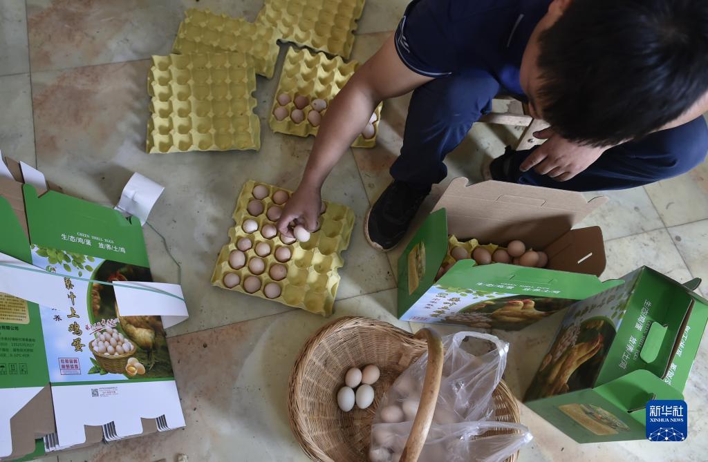 vg棋牌网平台